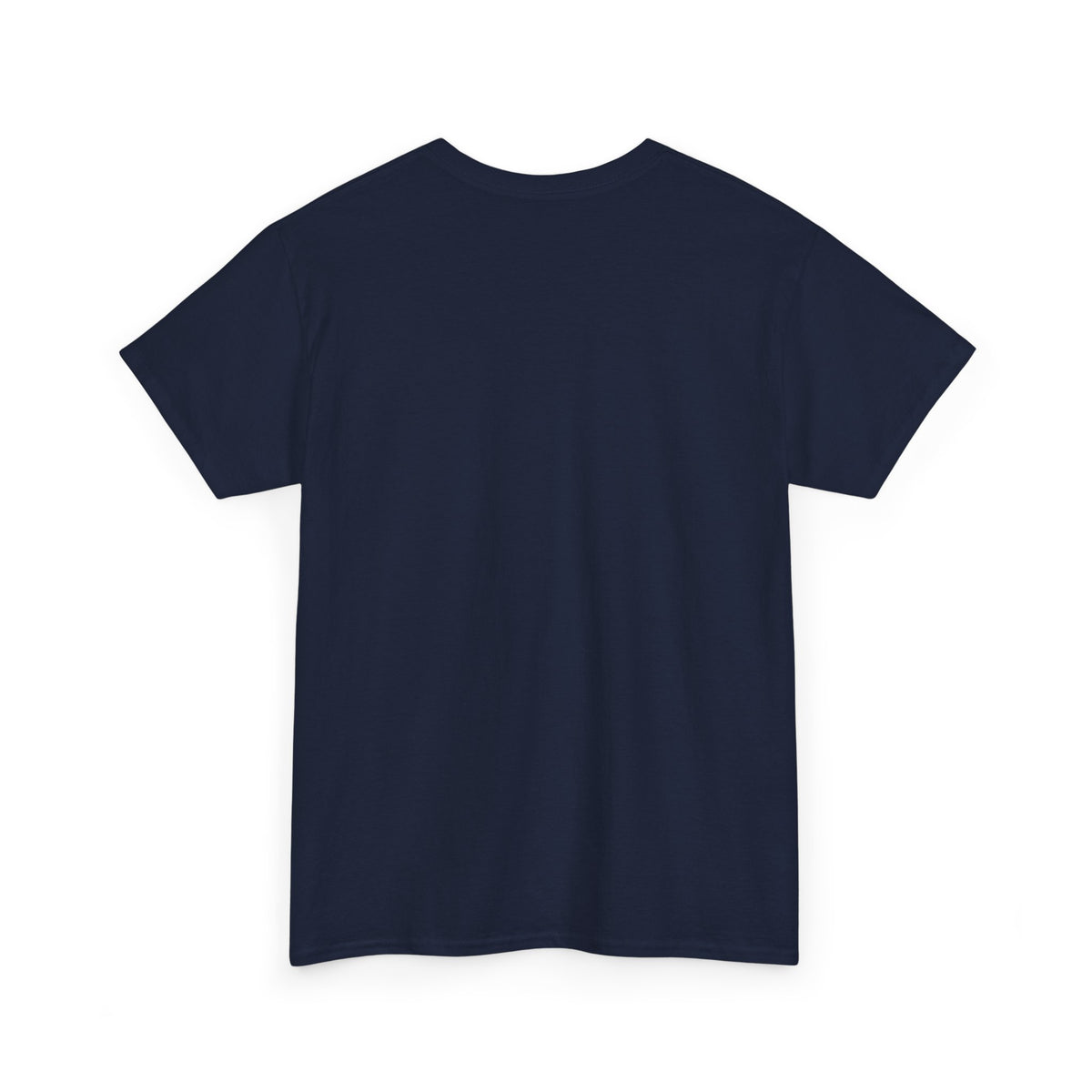 Having A Fairly Good Time // Ferris Wheel Good Time Punny Unisex Heavy Cotton Tee