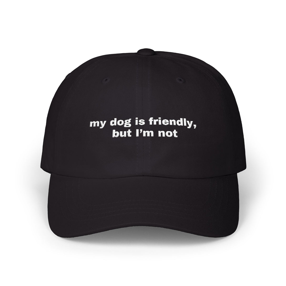 My dog is friendly, but I'm not // Classic Dad Cap
