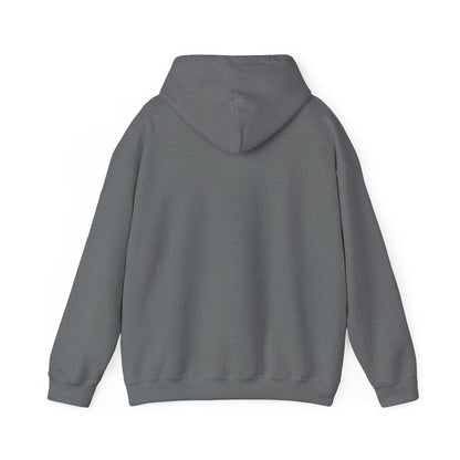 Watch Women's Sports // Unisex Heavy Blend™ Hooded Sweatshirt