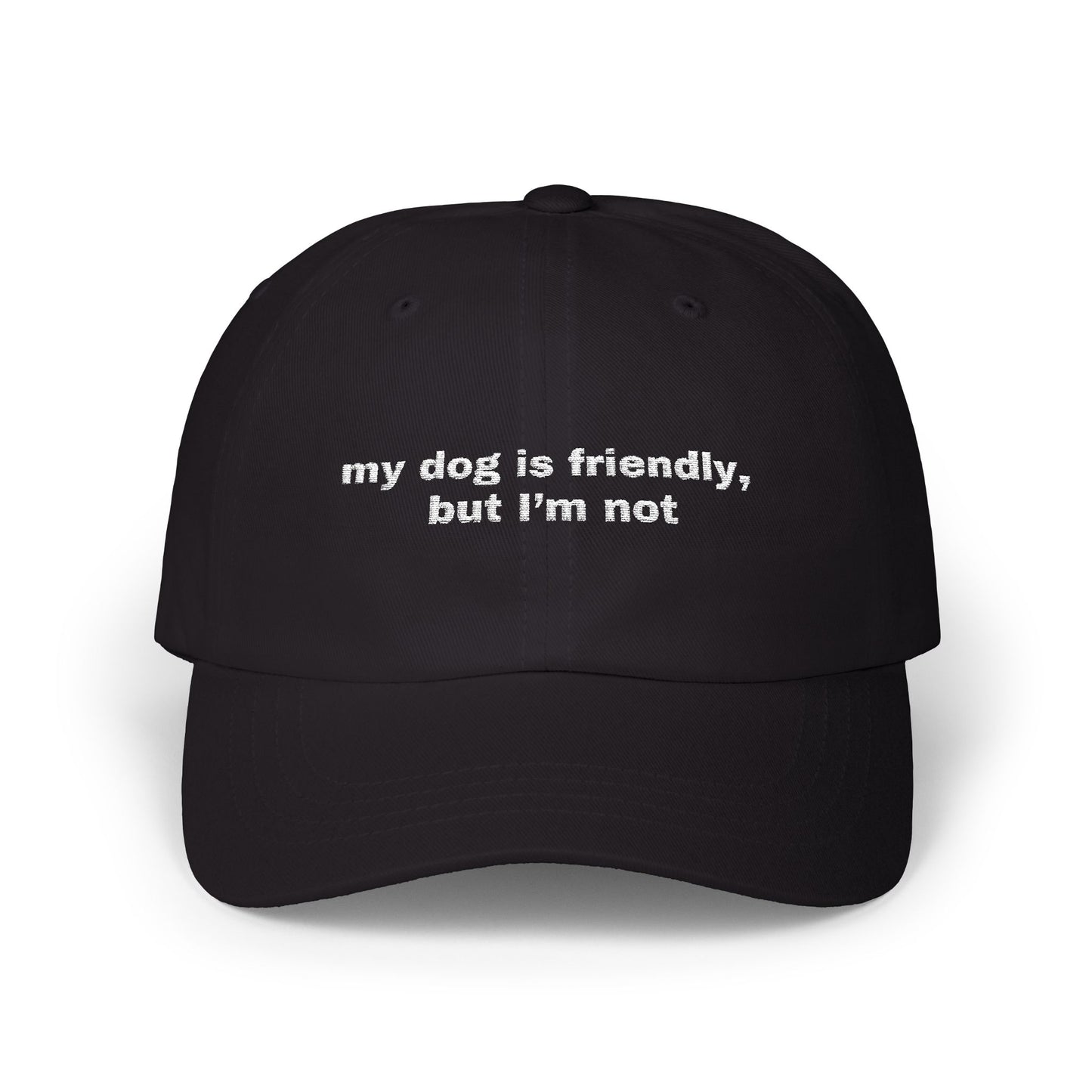 My dog is friendly, but I'm not // Classic Dad Cap