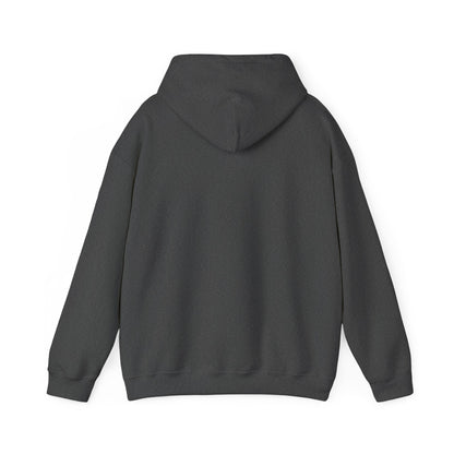 Watch Women's Sports // Unisex Heavy Blend™ Hooded Sweatshirt