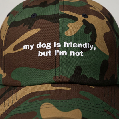 My dog is friendly, but I'm not // Classic Dad Cap